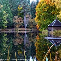 Buy canvas prints of Loch Dunmore boathouse, Faskally Woods, Perthshire by yvonne & paul carroll