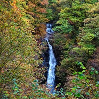 Buy canvas prints of Black Spout Waterfall, Pitlochry by yvonne & paul carroll