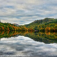 Buy canvas prints of Autumn reflections on Faskally Loch, Pitlochry by yvonne & paul carroll