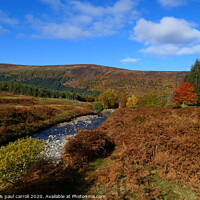 Buy canvas prints of Ben Lawers Nature Reserve in Autumn by yvonne & paul carroll