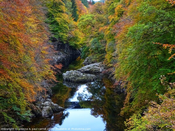 Killiecrankie Gorge in Autumn Picture Board by yvonne & paul carroll