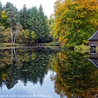 Buy canvas prints of Loch Dunmore in Faskally Forest by yvonne & paul carroll
