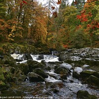 Buy canvas prints of River Braan at the Hermitage by yvonne & paul carroll