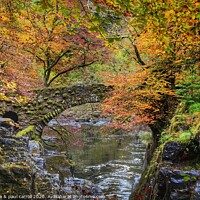 Buy canvas prints of The old bridge over the River Braan  by yvonne & paul carroll