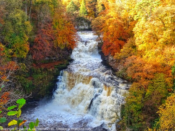 Autumn at Cora Linn Falls Picture Board by yvonne & paul carroll