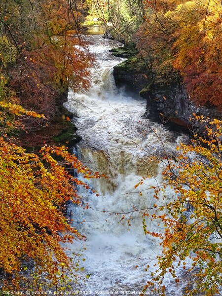 Autumn at Cora Linn Falls Picture Board by yvonne & paul carroll