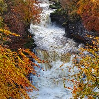 Buy canvas prints of Autumn at Cora Linn Falls by yvonne & paul carroll