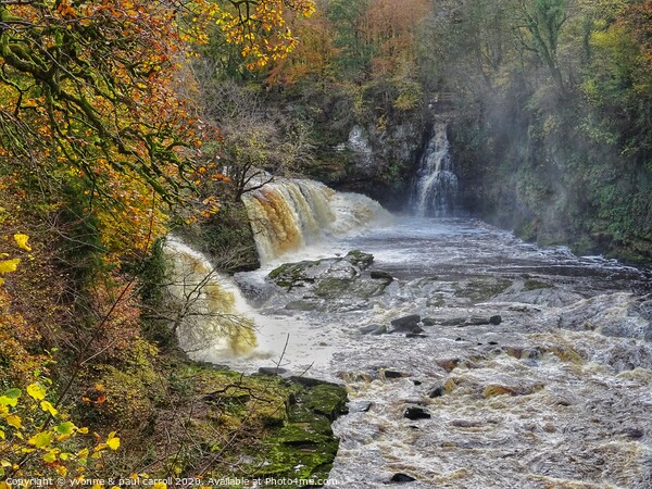 Bonnington Linn at the Falls of Clyde Picture Board by yvonne & paul carroll