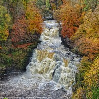Buy canvas prints of Autumn at Cora Linn Falls by yvonne & paul carroll