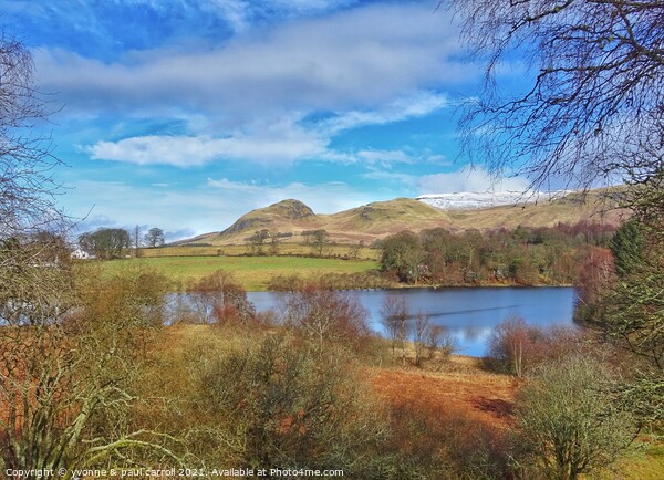 Carbeth Loch and Dumgoyne Hill Picture Board by yvonne & paul carroll