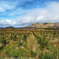 Buy canvas prints of The Campsies and Dumgoyne hill by yvonne & paul carroll
