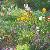Buy canvas prints of Garden - English Country Garden by Susan Leonard