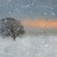 Buy canvas prints of Winter snow scene  by Susan Leonard