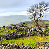 Buy canvas prints of Yorkshire Dales by Susan Leonard
