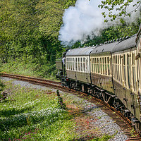 Buy canvas prints of Train - Full steam ahead by Susan Leonard