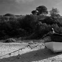 Buy canvas prints of The Boat by David Pacey