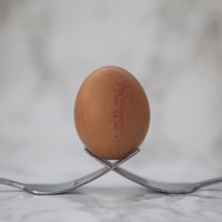Buy canvas prints of Egg on Forks by David Pacey
