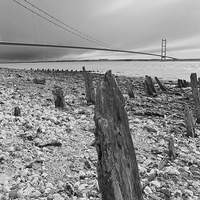 Buy canvas prints of Humber Bridge by David Pacey