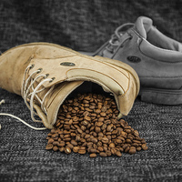 Buy canvas prints of Coffee Shoe by David Pacey