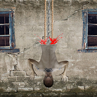 Buy canvas prints of hanging (dark art) by David Pacey