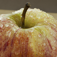 Buy canvas prints of  Apple (2) by David Pacey