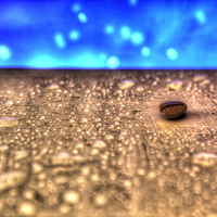 Buy canvas prints of  Coffee Bean by David Pacey