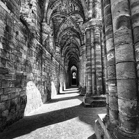 Buy canvas prints of  Kirkstall Abbey by David Pacey