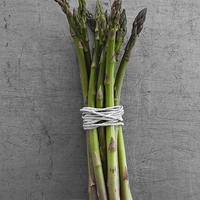 Buy canvas prints of  ASPARAGUS by David Pacey