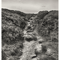 Buy canvas prints of   Ilkley Moor  by David Pacey