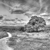 Buy canvas prints of  Ilkley Moor by David Pacey