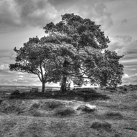 Buy canvas prints of   Ilkley Moor by David Pacey