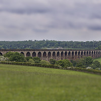 Buy canvas prints of Crimple Viaduct by David Pacey