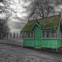 Buy canvas prints of The green waiting room by David Pacey
