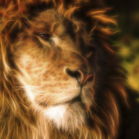 Buy canvas prints of Flaming Lion by Selena Chambers