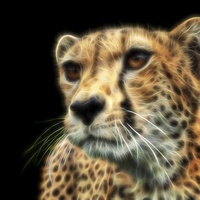 Buy canvas prints of Cheetah Fractal by Selena Chambers