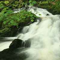 Buy canvas prints of Woodland waterfall by Ian Owen