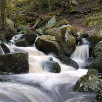 Buy canvas prints of Paddly Gorge Stream, Peak District by Tom Reed