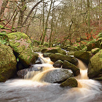 Buy canvas prints of Padley Gorge Panorama by Tom Reed