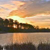 Buy canvas prints of Wollaton park HDR by Tom Reed