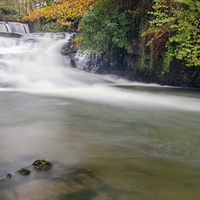 Buy canvas prints of River in Autumn by Phil Robinson