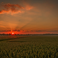Buy canvas prints of A lovely sunset landscape  by Phil Robinson
