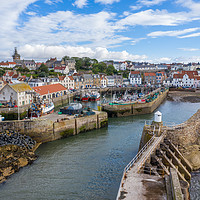 Buy canvas prints of Pittenweem Harbour by Steven Brown