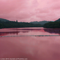 Buy canvas prints of Pink Reflection by Ian Lintern