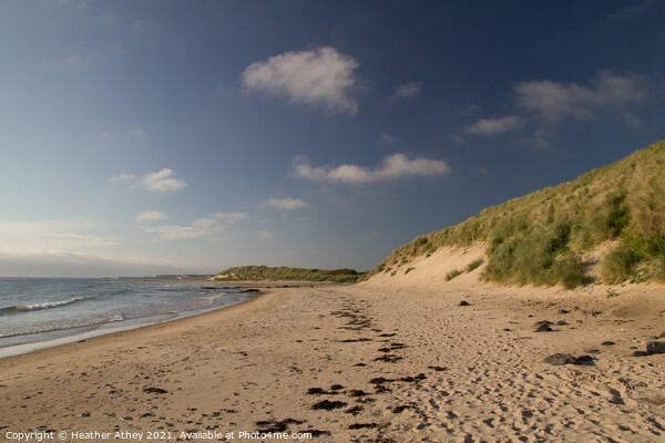 Bamburgh beach, Northumberland Picture Board by Heather Athey