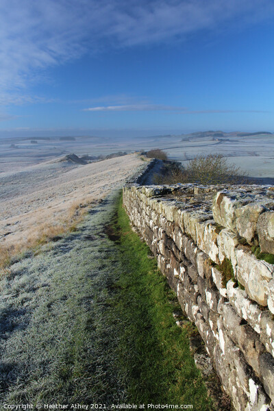 Frost on Hadrian's Wall Picture Board by Heather Athey