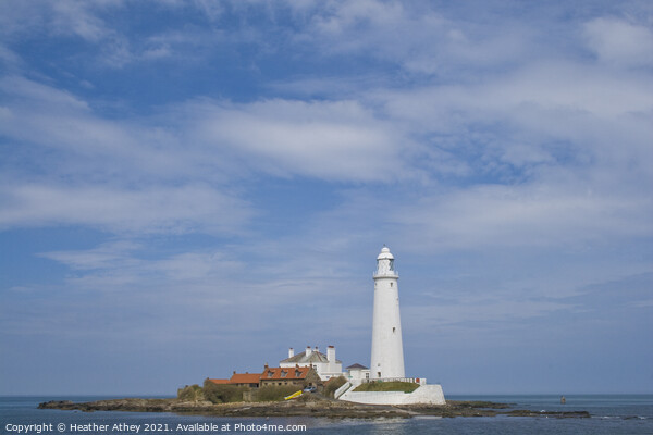 St Mar's Lighthouse Picture Board by Heather Athey