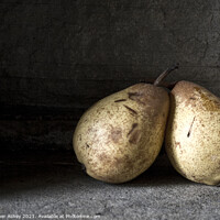 Buy canvas prints of Pair of Pears by Heather Athey