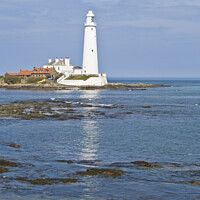 Buy canvas prints of St Mary's Lighthouse by Heather Athey