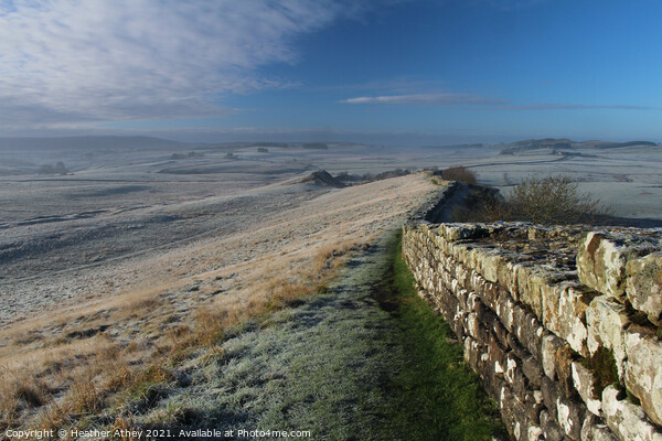 Frosty morning, Hadrian's Wall Picture Board by Heather Athey