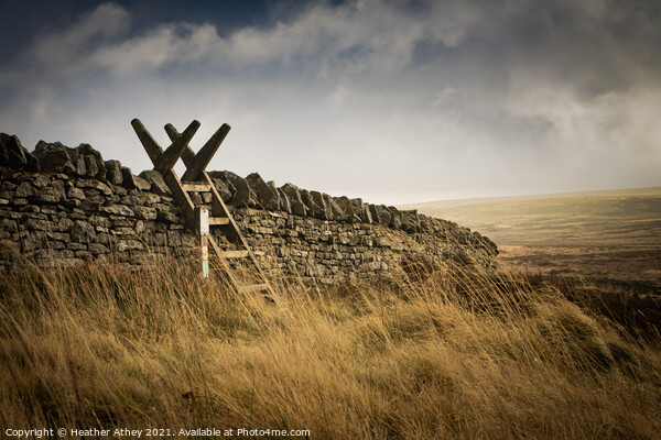 Stile over Dry stone wall Picture Board by Heather Athey